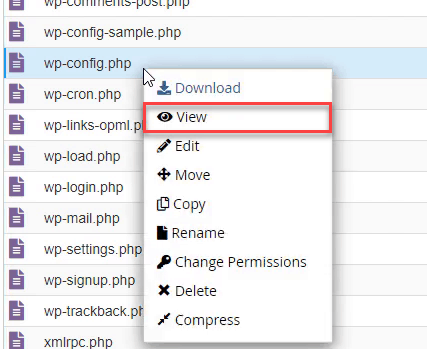 viewing wp-config file